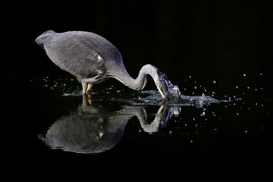 Lire la suite à propos de l’article Perfectionnisme et troubles anxieux : comment briser le cercle vicieux